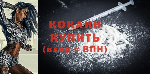 трава Бородино