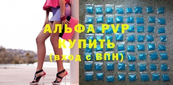 трава Бородино