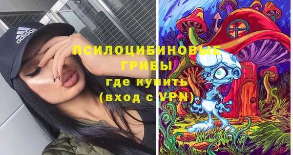 трава Бородино