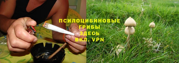 трава Бородино