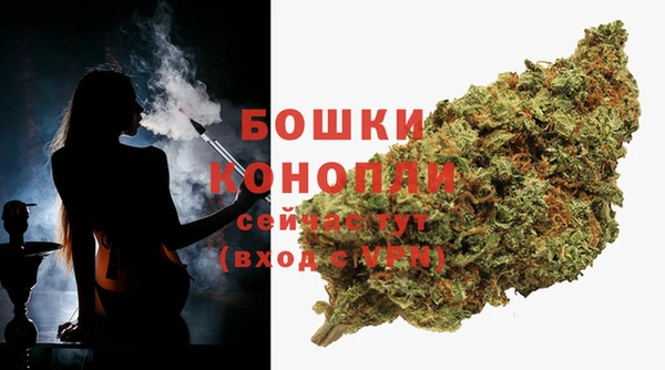 трава Бородино
