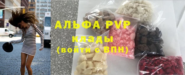 трава Бородино