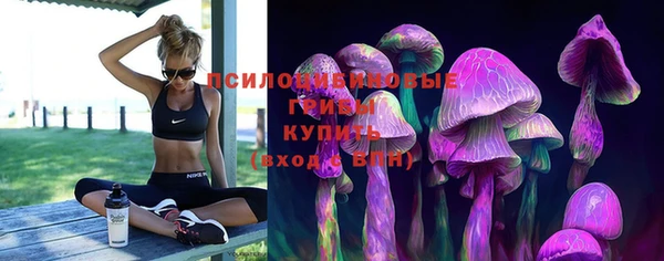 СК Бугульма