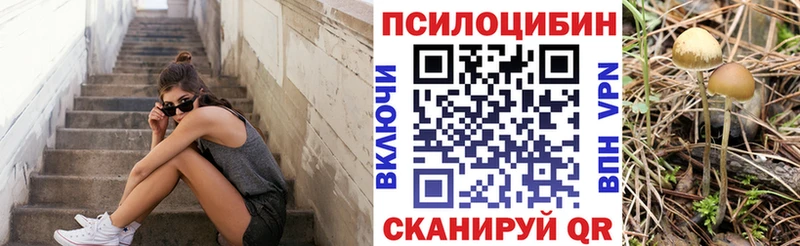 Галлюциногенные грибы GOLDEN TEACHER  цена   Новокузнецк 